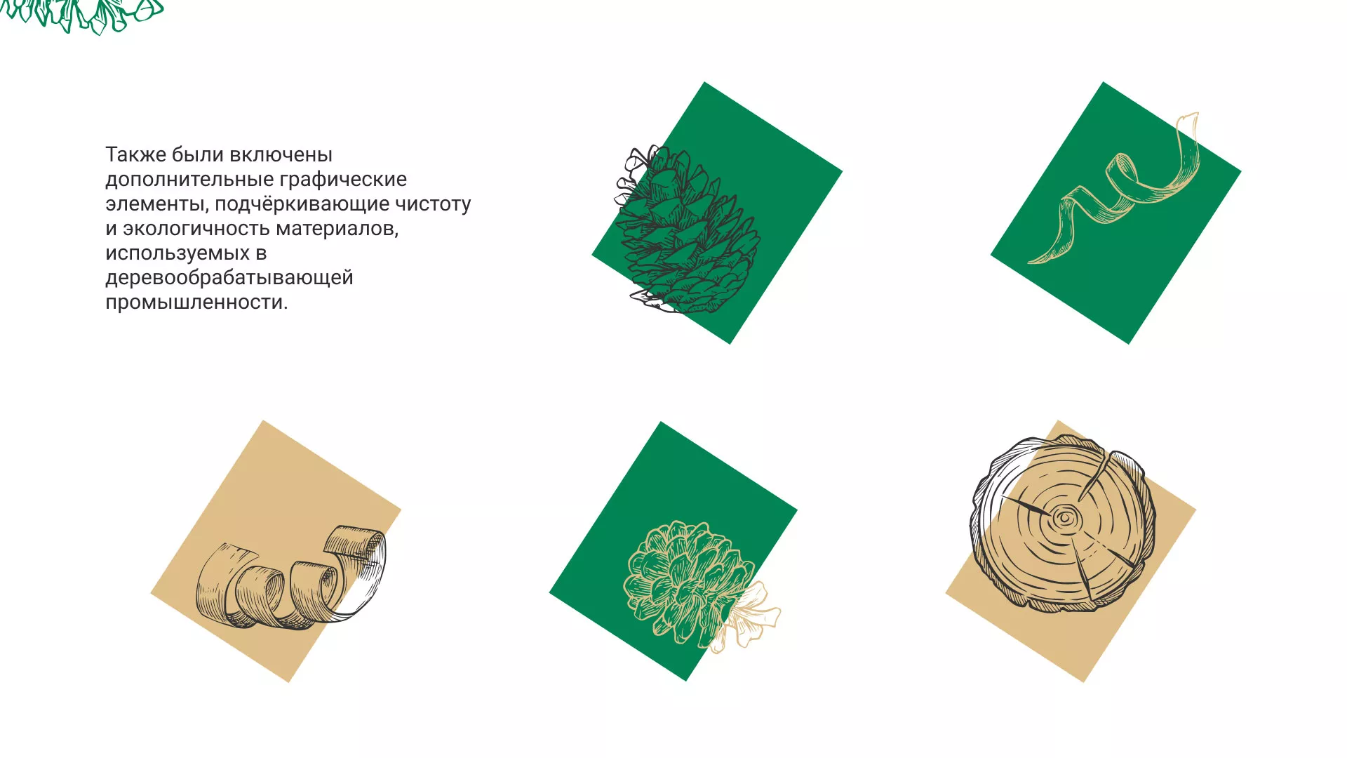 Разработка айдентики и сайта компании «Plastwood» в Кондопоге