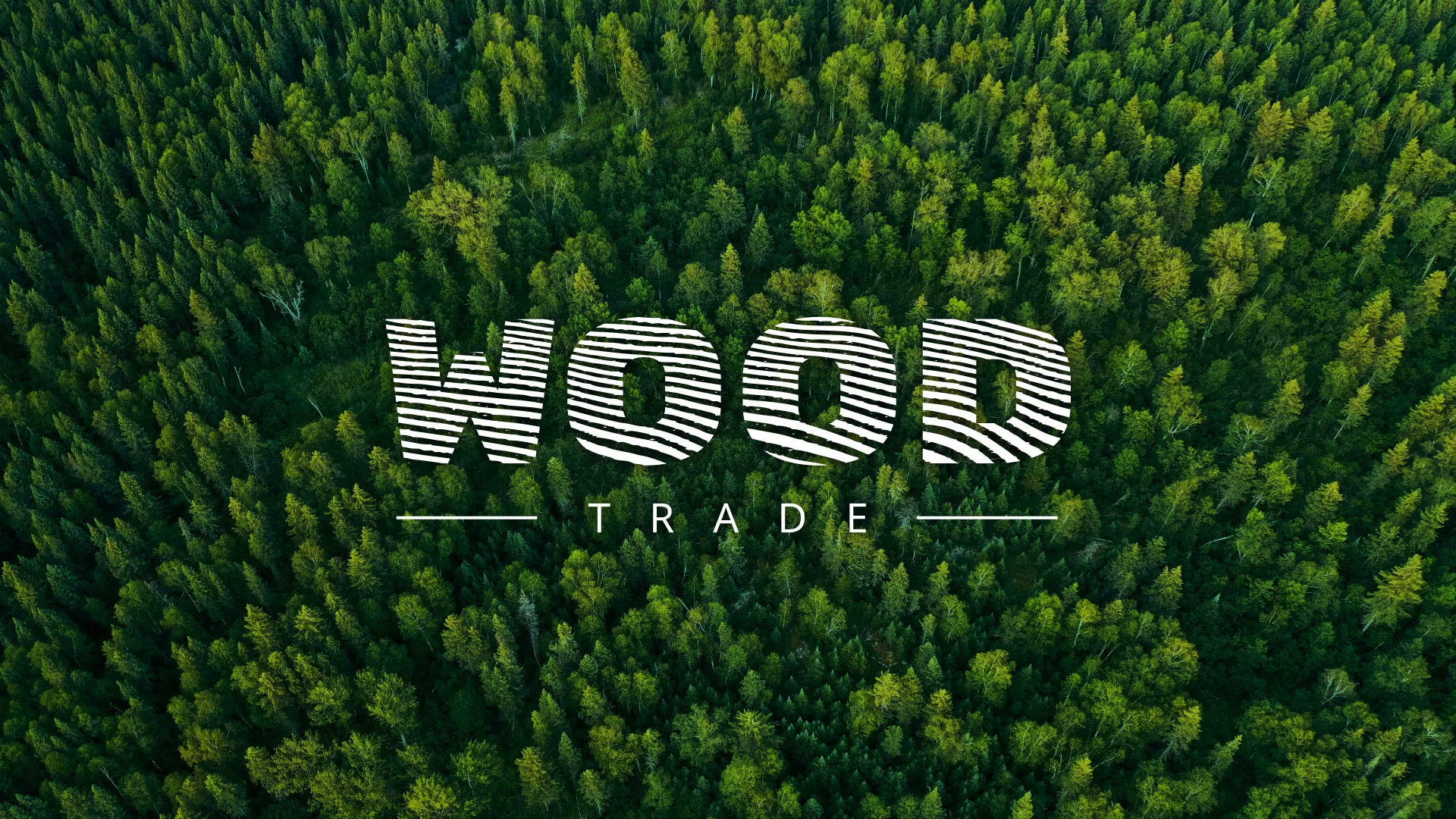 Разработка интернет-магазина компании «Wood Trade» в Кондопоге